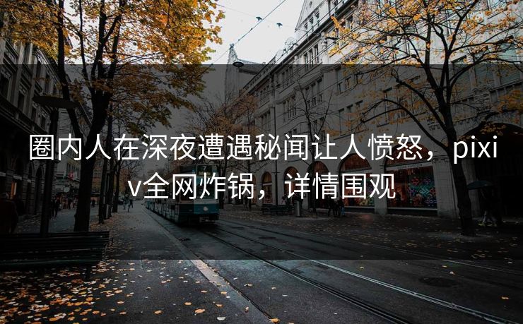 圈内人在深夜遭遇秘闻让人愤怒,pixiv全网炸锅,详情围观