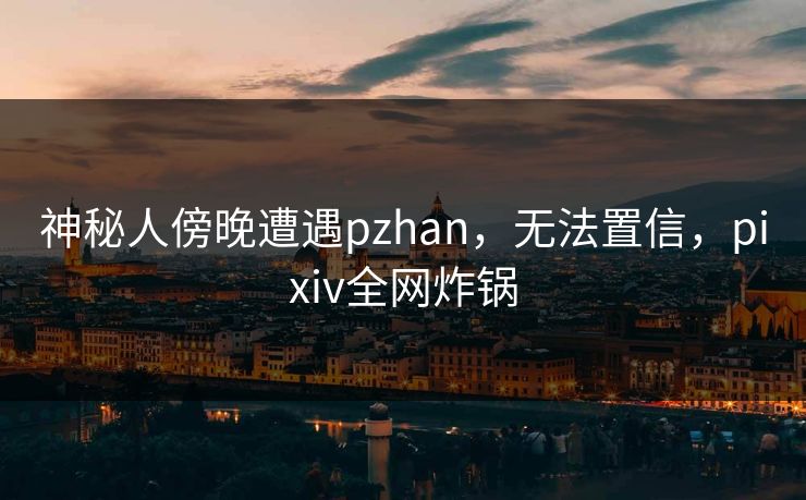 神秘人傍晚遭遇pzhan，无法置信，pixiv全网炸锅