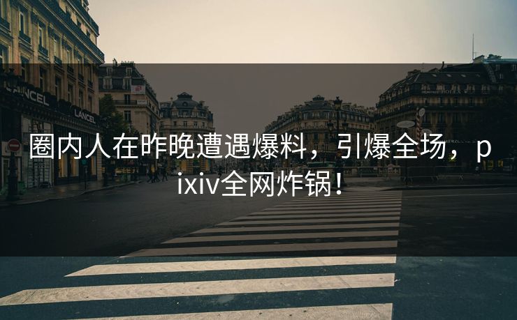 圈内人在昨晚遭遇爆料，引爆全场，pixiv全网炸锅！