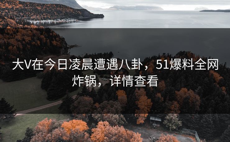 大V在今日凌晨遭遇八卦，51爆料全网炸锅，详情查看