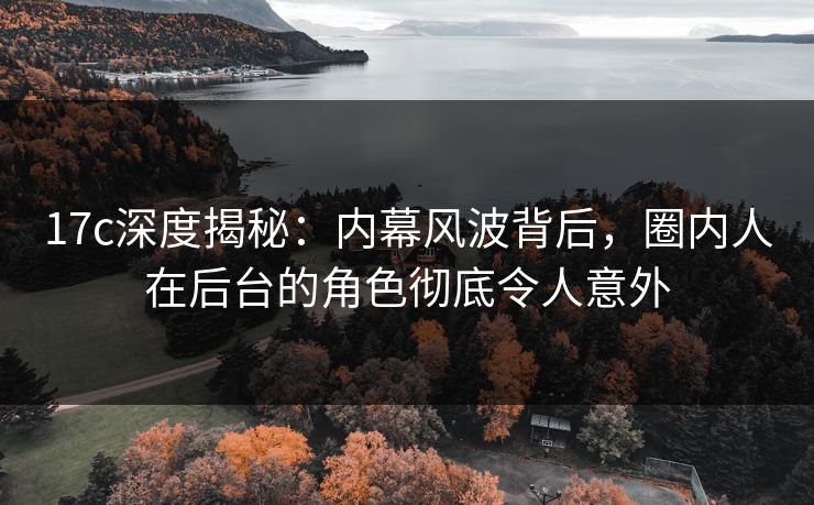 17c深度揭秘：内幕风波背后，圈内人在后台的角色彻底令人意外