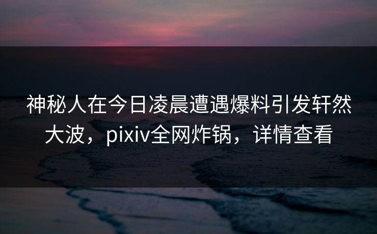神秘人在今日凌晨遭遇爆料引发轩然大波，pixiv全网炸锅，详情查看