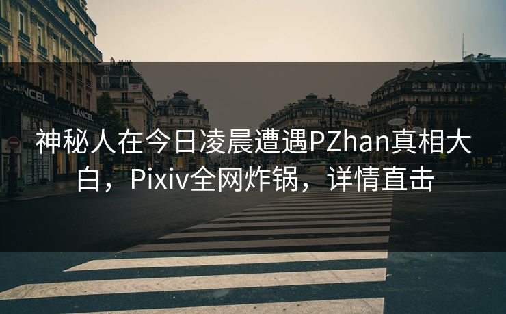 神秘人在今日凌晨遭遇PZhan真相大白，Pixiv全网炸锅，详情直击