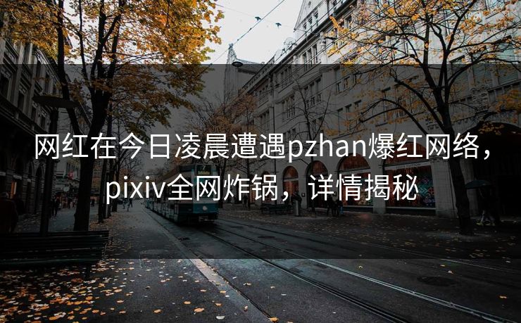 网红在今日凌晨遭遇pzhan爆红网络，pixiv全网炸锅，详情揭秘