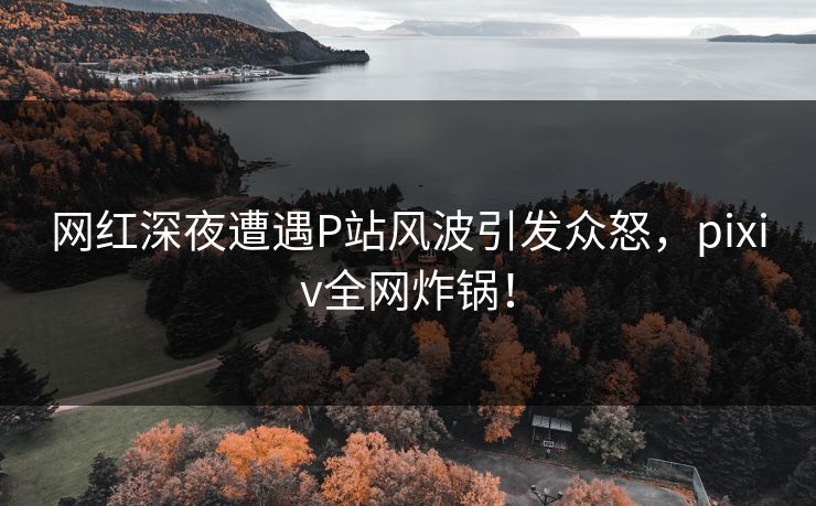 网红深夜遭遇P站风波引发众怒，pixiv全网炸锅！